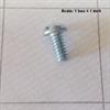 Screw 10-24 x 5/16 round head slotted zinc plated